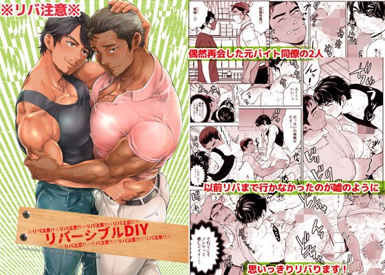 Reversible DIY メイン画像