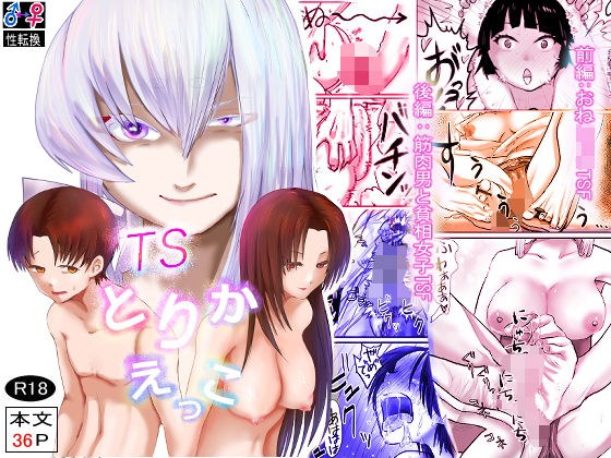 TSとりかえっこ メイン画像