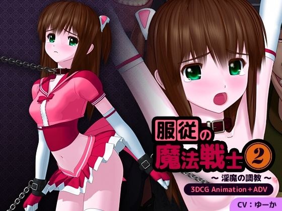 服従の魔法戦士2 〜淫魔の調教〜 メイン画像