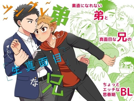 ツングレ弟と生真面目な兄 メイン画像