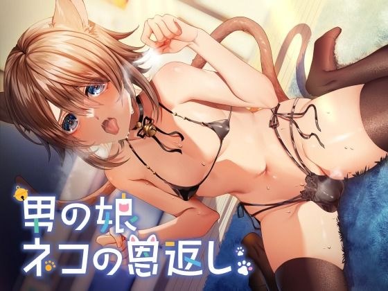 男の娘ネコの恩返し メイン画像