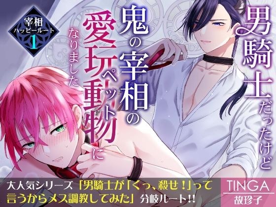 男騎士だったけど鬼の宰相の愛玩動物（ペット）になりました（1） メイン画像