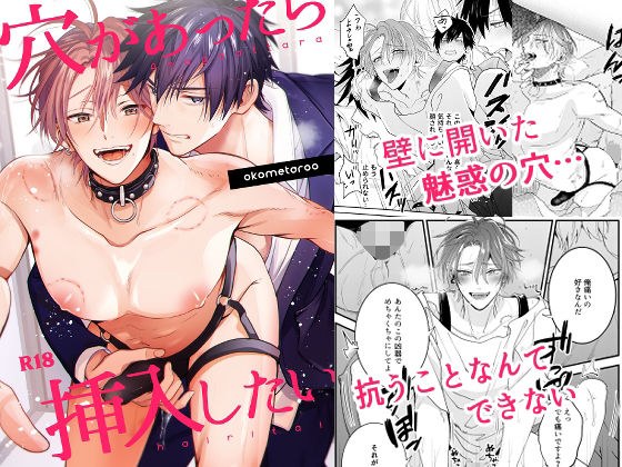 穴があったら挿入したい メイン画像
