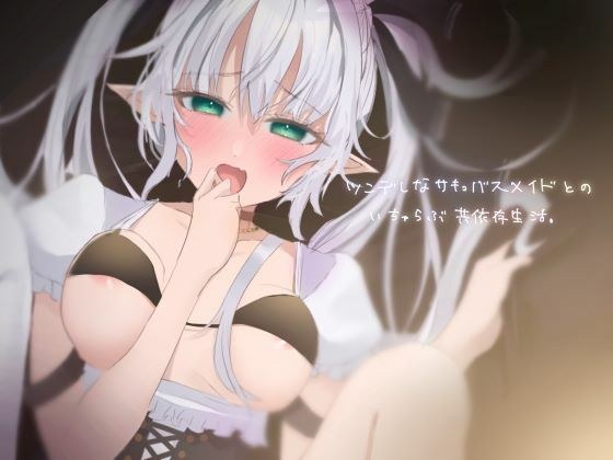 ツンデレなサキュバスメイドとのいちゃらぶ共同生活。 メイン画像