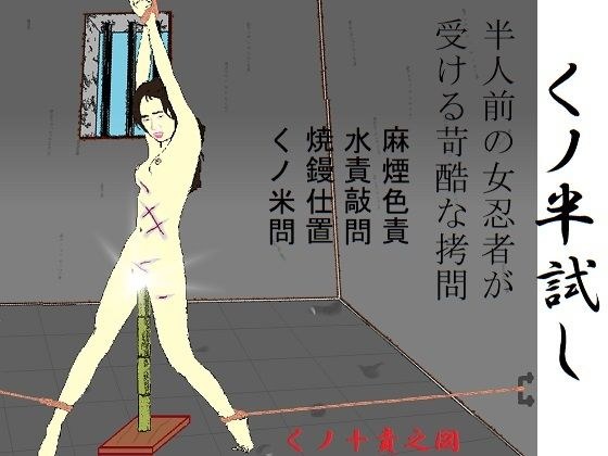 くノ半試し メイン画像