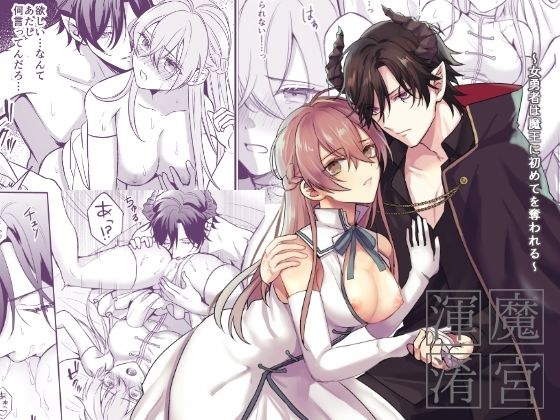 魔宮渾淆〜女勇者は魔王に初めてを奪われる〜 メイン画像