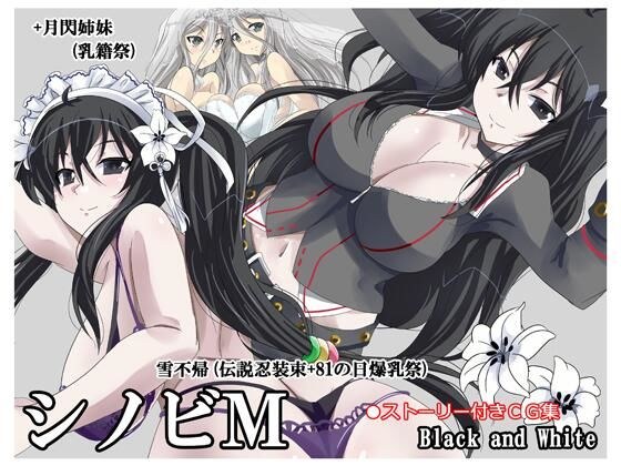 シノビM雪不帰(伝説忍装束+81の日爆乳祭)+月閃姉妹(乳籍祭) メイン画像