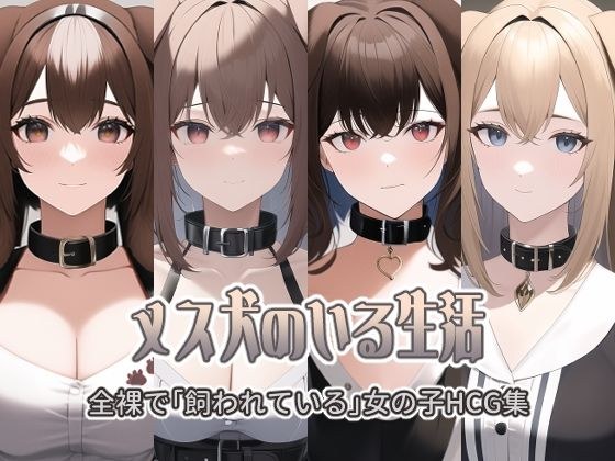 メス犬のいる生活 メイン画像