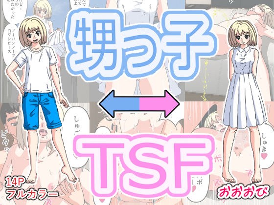 甥っ子TSF メイン画像