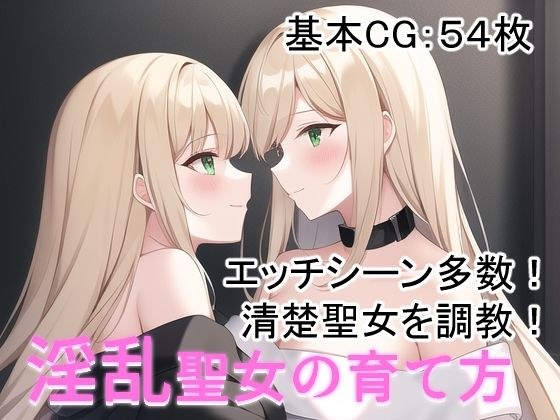 淫乱聖女の育て方 メイン画像