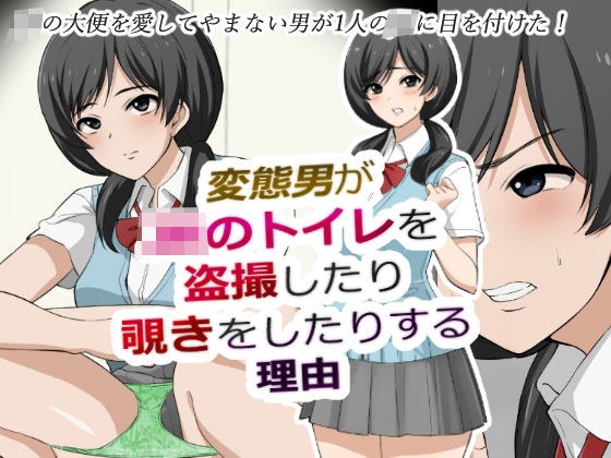 変態男がJKのトイレを盗撮したり覗きをしたりする理由 メイン画像