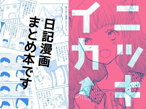 ニッキイカ メイン画像