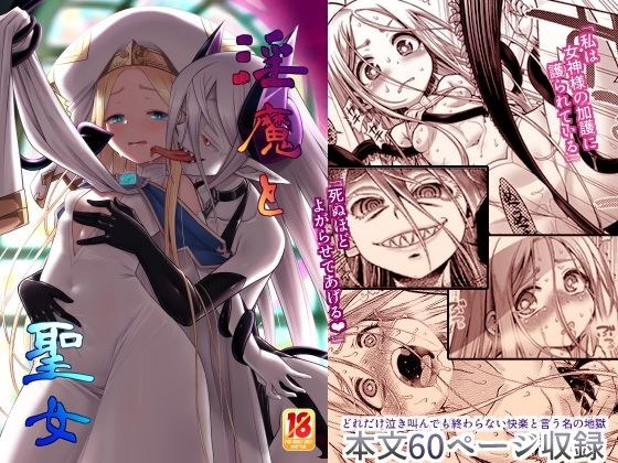 淫魔と聖女 メイン画像