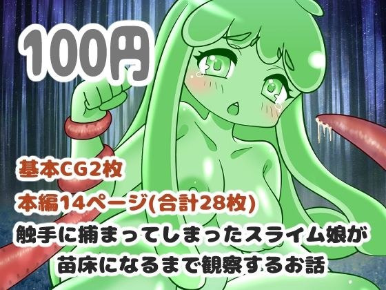 触手に捕まってしまったスライム娘が苗床になるまで観察するお話 メイン画像