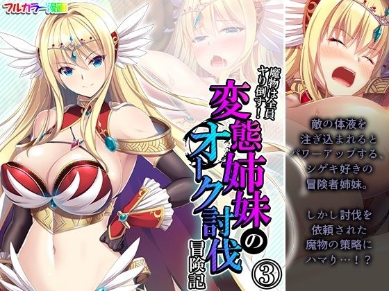 魔物は全員ヤり倒す！変態姉妹のオーク討伐冒険記 3巻 メイン画像