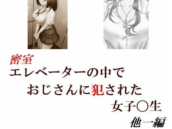 密室エレベーターの中でおじさんに犯●れた女子〇生 他一編 メイン画像