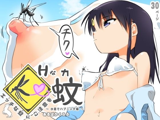 エッチな蚊にご注意を！ 〜 水着でハプニング編 〜 メイン画像
