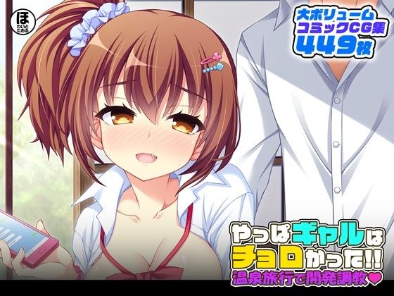 やっぱギャルはチョロかった！！温泉旅行で開発調教 メイン画像