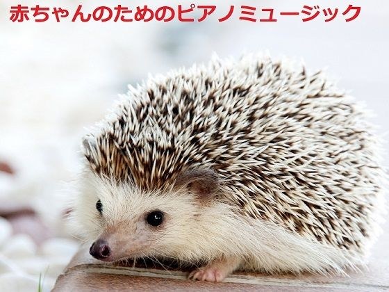 胎児のためのピアノミュージック メイン画像