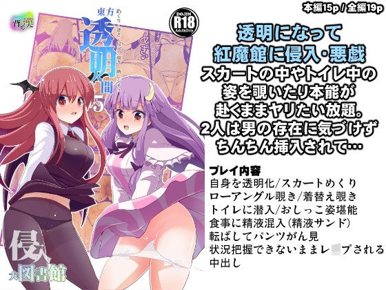東方透明人間5 侵入大図書館 メイン画像