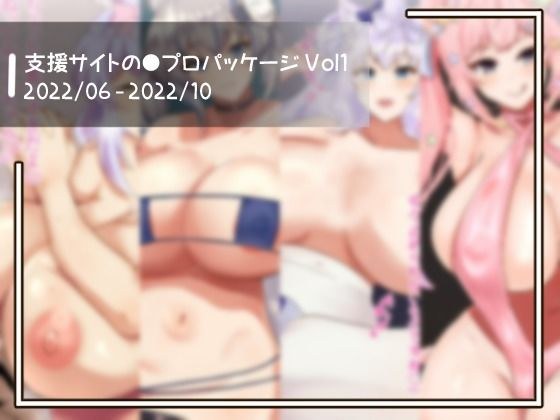 支援サイトの●プロパッケージ Vol1 メイン画像