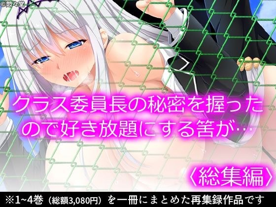 クラス委員長の秘密を握ったので好き放題にする筈が… ＜総集編＞ メイン画像