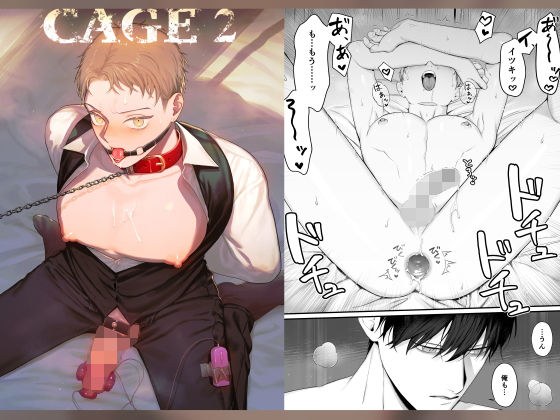 CAGE 2 -異常執着- メイン画像