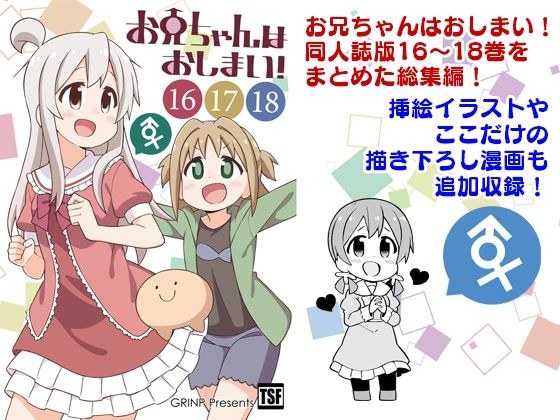 お兄ちゃんはおしまい！総集編（16）（17）（18） メイン画像
