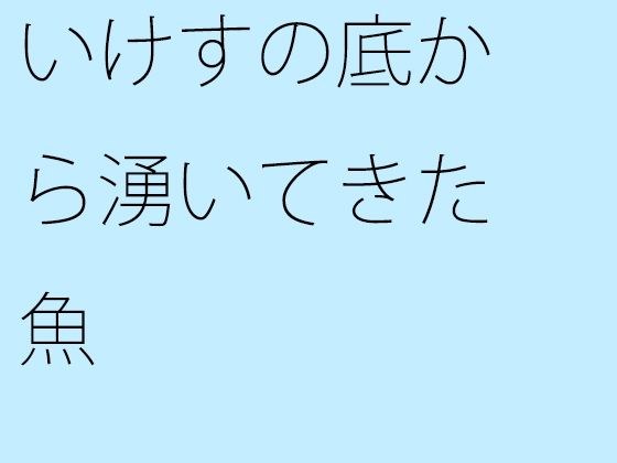 いけすの底から湧いてきた魚 メイン画像
