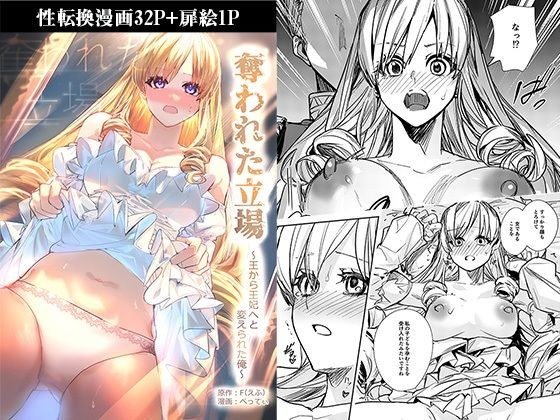 奪われた立場〜王から王妃へと変えられた俺〜 メイン画像