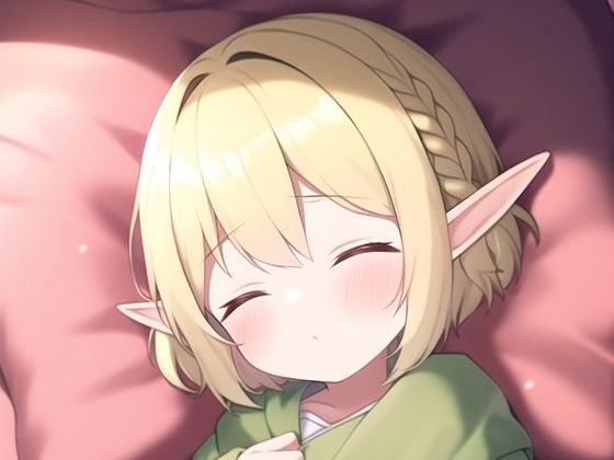 記憶喪失の俺がエロフを手籠にしたと思ったら娘と近●相姦でアレレだったんだが（セリフ付CG60枚＋おまけ11枚） メイン画像