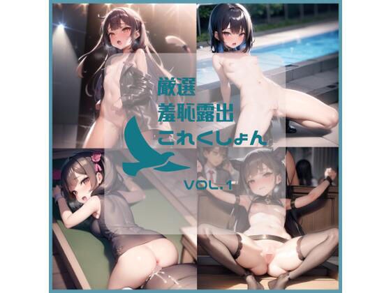 厳選羞恥露出これくしょん vol.1 メイン画像