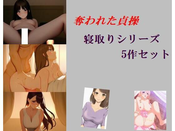 奪われた貞操 寝取りシリーズ 5作セット メイン画像