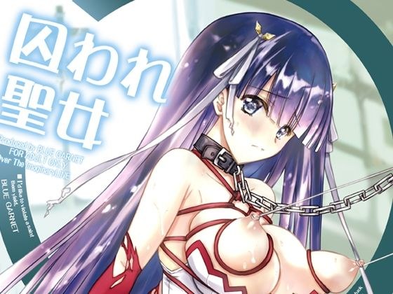 囚われ聖女 メイン画像