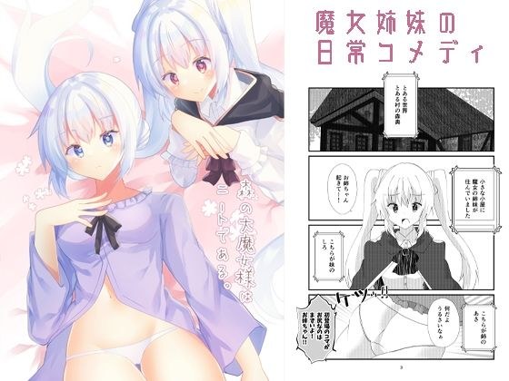森の大魔女様はニートである。 メイン画像
