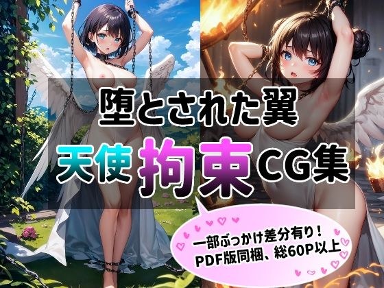 Fallen Wings (Angel Restraint Illustration Collection) メイン画像