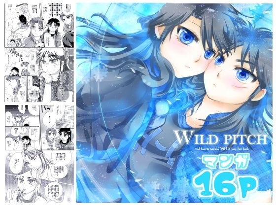 WILD PITCH メイン画像