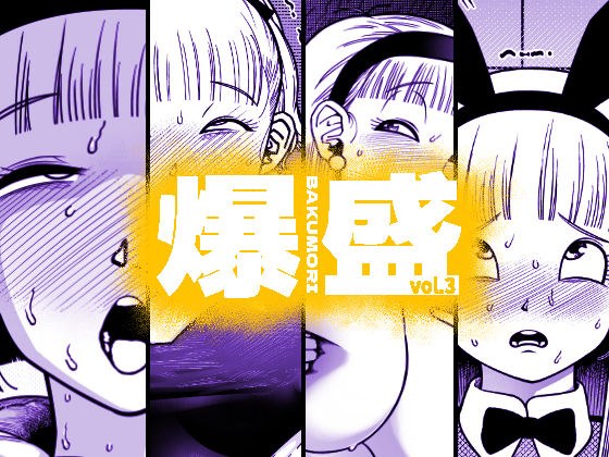 爆盛 vol.3 メイン画像