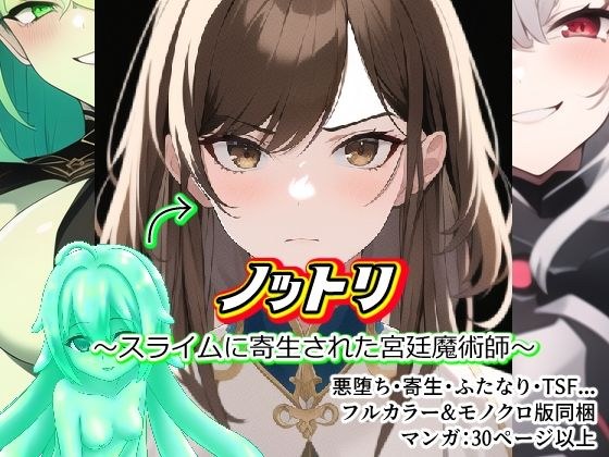 野取～被黏液寄生的宫廷魔术师～ メイン画像