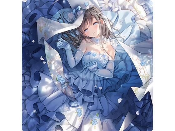 ドレスむすめ詰め合わせ4 メイン画像