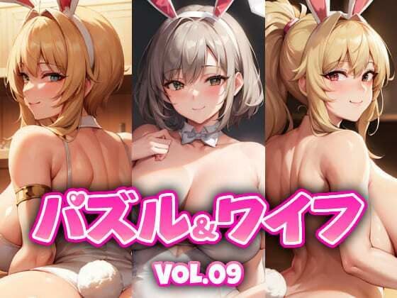 パズル＆ワイフ VOL.09 メイン画像