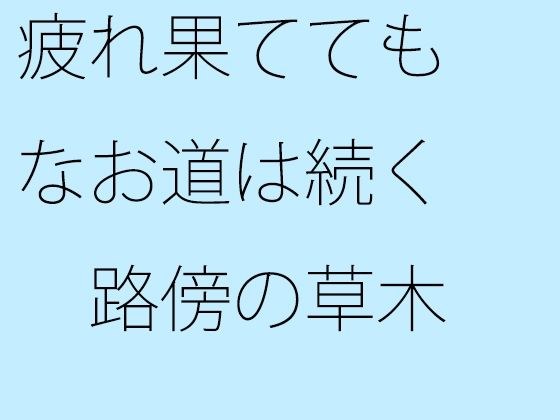 【無料】疲れ果ててもなお道は続く 路傍の草木 メイン画像