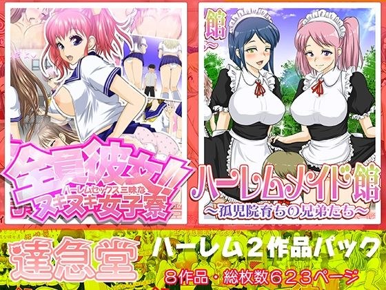 ハーレムシリーズ2作品パック メイン画像
