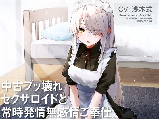 中古ブッ壊れセクサロイドと常時発情無感情ご奉仕 メイン画像