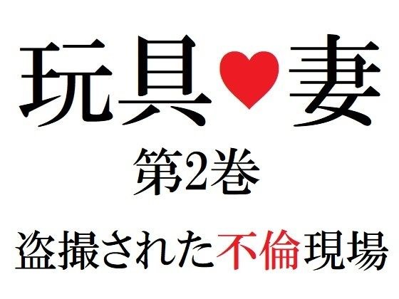 玩具妻 第2巻 盗撮された不倫現場 メイン画像