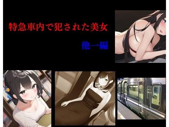 特急車内で犯●れた美女 他一編 メイン画像