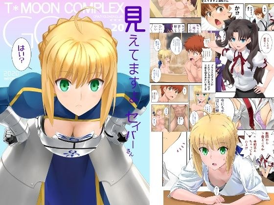 我能看见你 Saber メイン画像