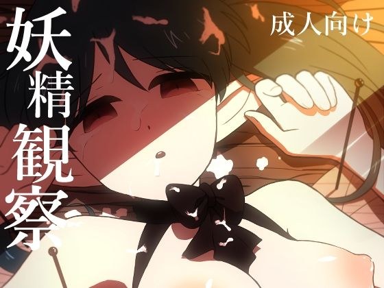 妖精観察 メイン画像