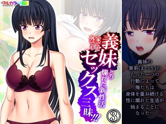 義妹との爛れた新性活！家でも外でもセックス三昧！！ 3巻 メイン画像