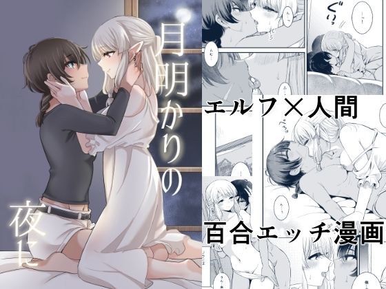 月明かりの夜に メイン画像